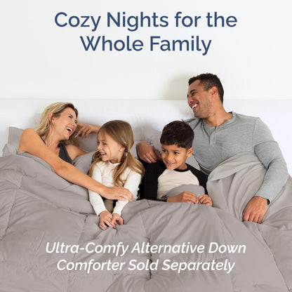 Queen Size 4-Piece Sheet Set | Skiennix Comfy Cooling Bed Sheets - Hotel Luxury, Deep Pockets, Soft & Wrinkle-Free - Light Grey