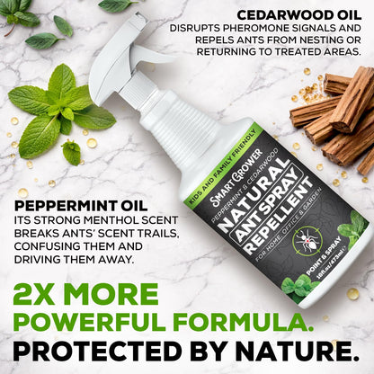 Natural Ant Spray - Fast-Killing & Repelling Formula with Peppermint & Cedarwood Oil | 16oz Pet & Family Safe