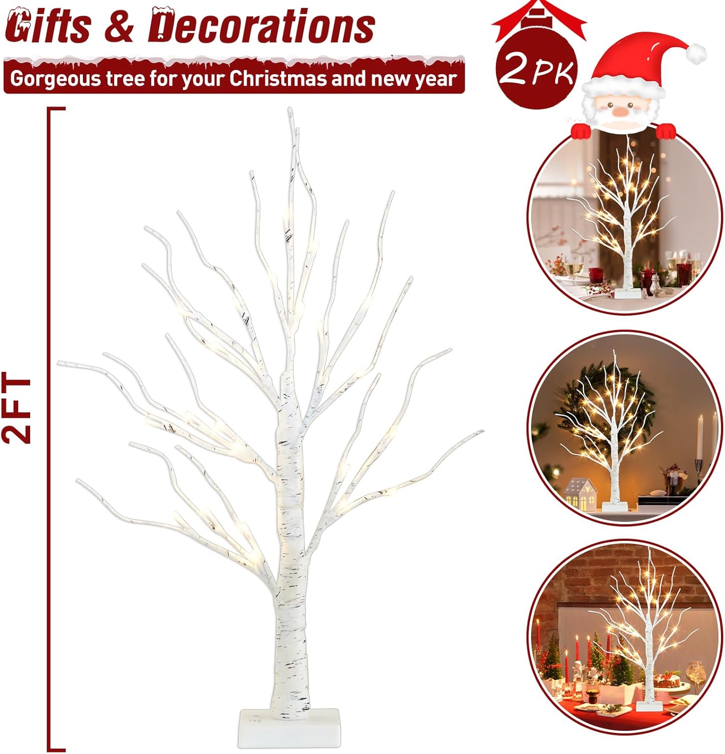 PEIDUO 2FT Birch Tree LED Light Decoration - Warm White Easter Table Lamp | Battery Powered, Timer (2PK)