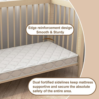 Regine Switzerland Medium Firm Mattress - High Density Foam, Edge Reinforced, Odorless, Standard Size, Pure White