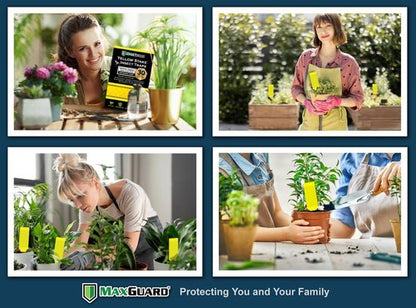 MAXGUARD Yellow Sticky Insect Traps (30 Pack) - Effectively Catch and Kill Gnats, Mosquitos & More