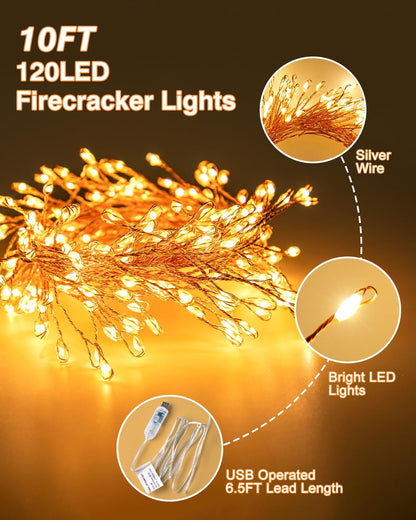 Skiennix USB Fairy Christmas Lights - 10FT 120LED Twinkle Cluster with 8 Modes & Remote | Silver Wire Decor