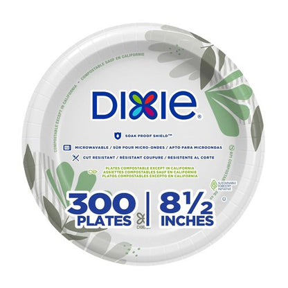Dixie 8.5-Inch Medium-Weight Disposable Paper Plates - Pathways Design | 300 Count Bulk Case