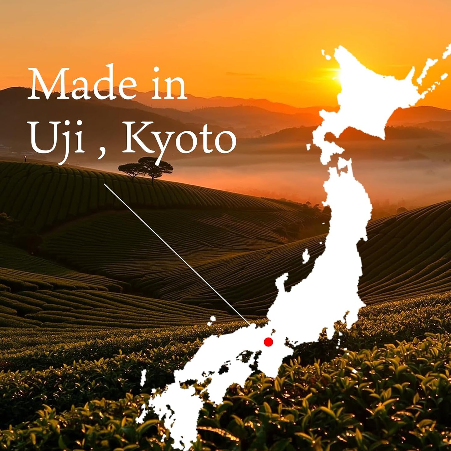 SHIZUGOKORO Authentic Japanese Matcha Green Tea Powder - Ceremonial Grade from Uji Kyoto - 30g (1.06oz)