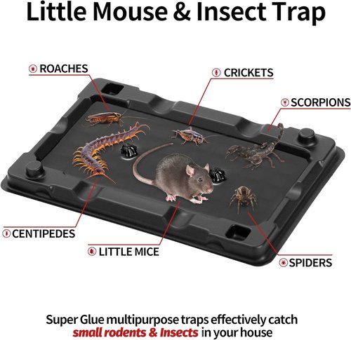 LULUCATCH Mouse & Insect Traps - 12 Pack of Non-Toxic, Heavy-Duty Sticky Traps for Indoor Use