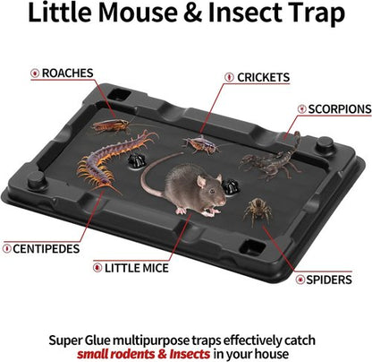LULUCATCH Mouse & Insect Traps - 12 Pack of Non-Toxic, Heavy-Duty Sticky Traps for Indoor Use