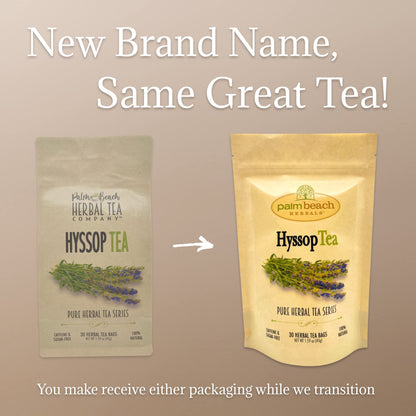 Hyssop Tea - Pure Herbal Tea Series by Palm Beach Herbals (30 Tea Bags) 100% Natural