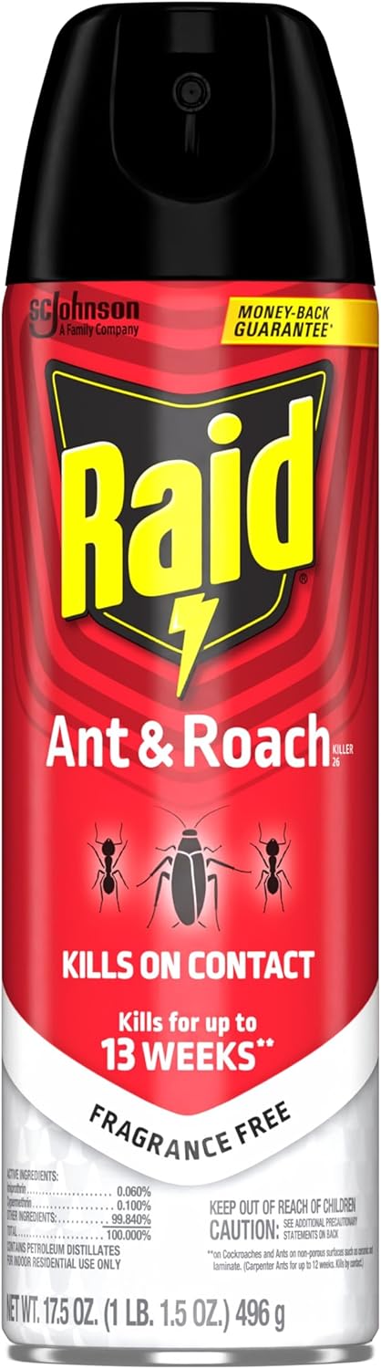 Raid Ant and Roach Killer, Fragrance Free, 17.5 OZ