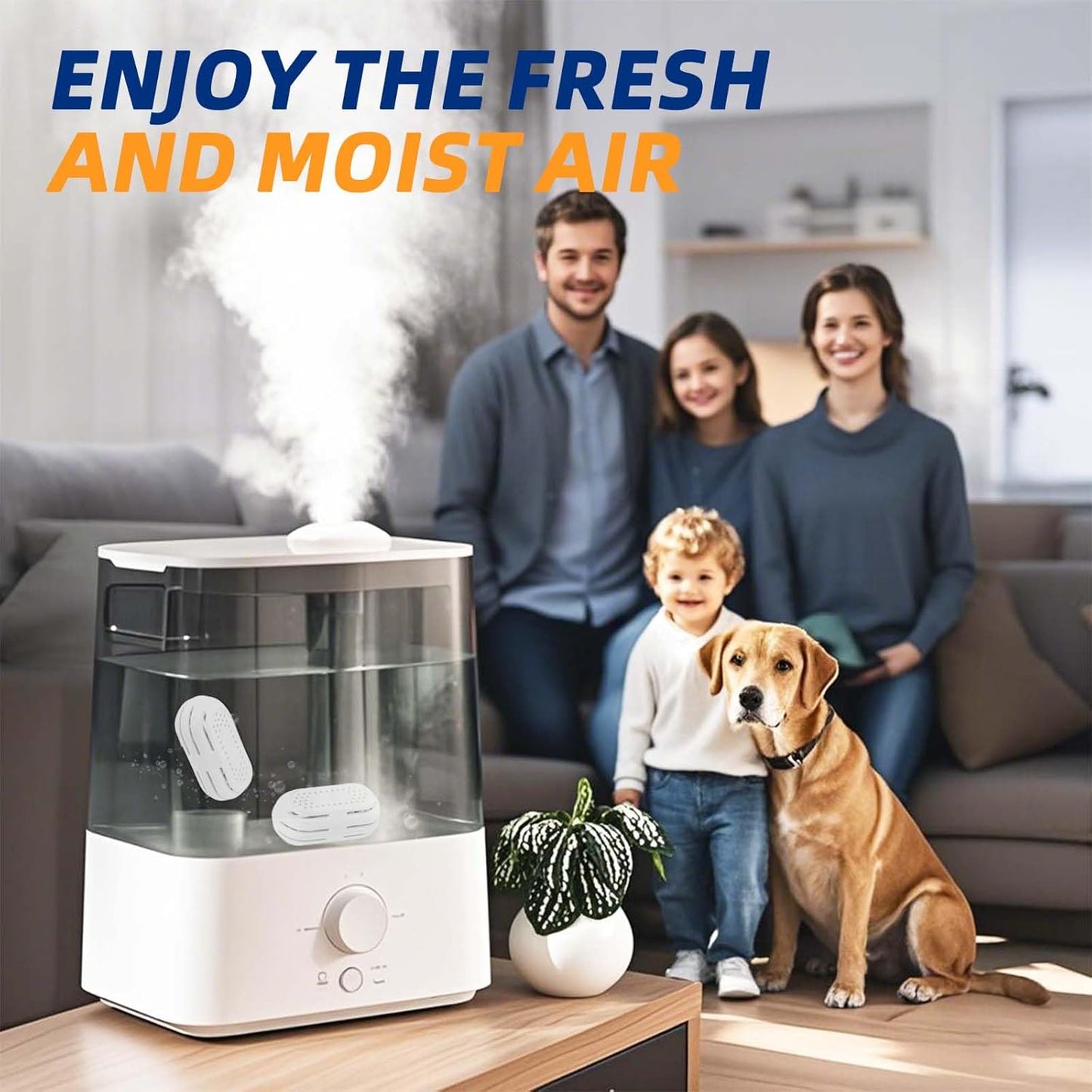 Top-Fill Humidifier Demineralization Cartridge, Compatible with All LEVOIT Top Fill Humidifiers, Calcium and Magnesium Ion Softening, Humidifier Cleaning, 6 Pack, White