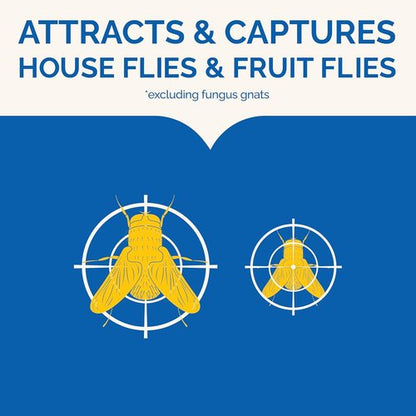 Hot Shot Flying Insect Trap - Discreet & Hassle-Free Solution for House & Fruit Flies | 6 Count