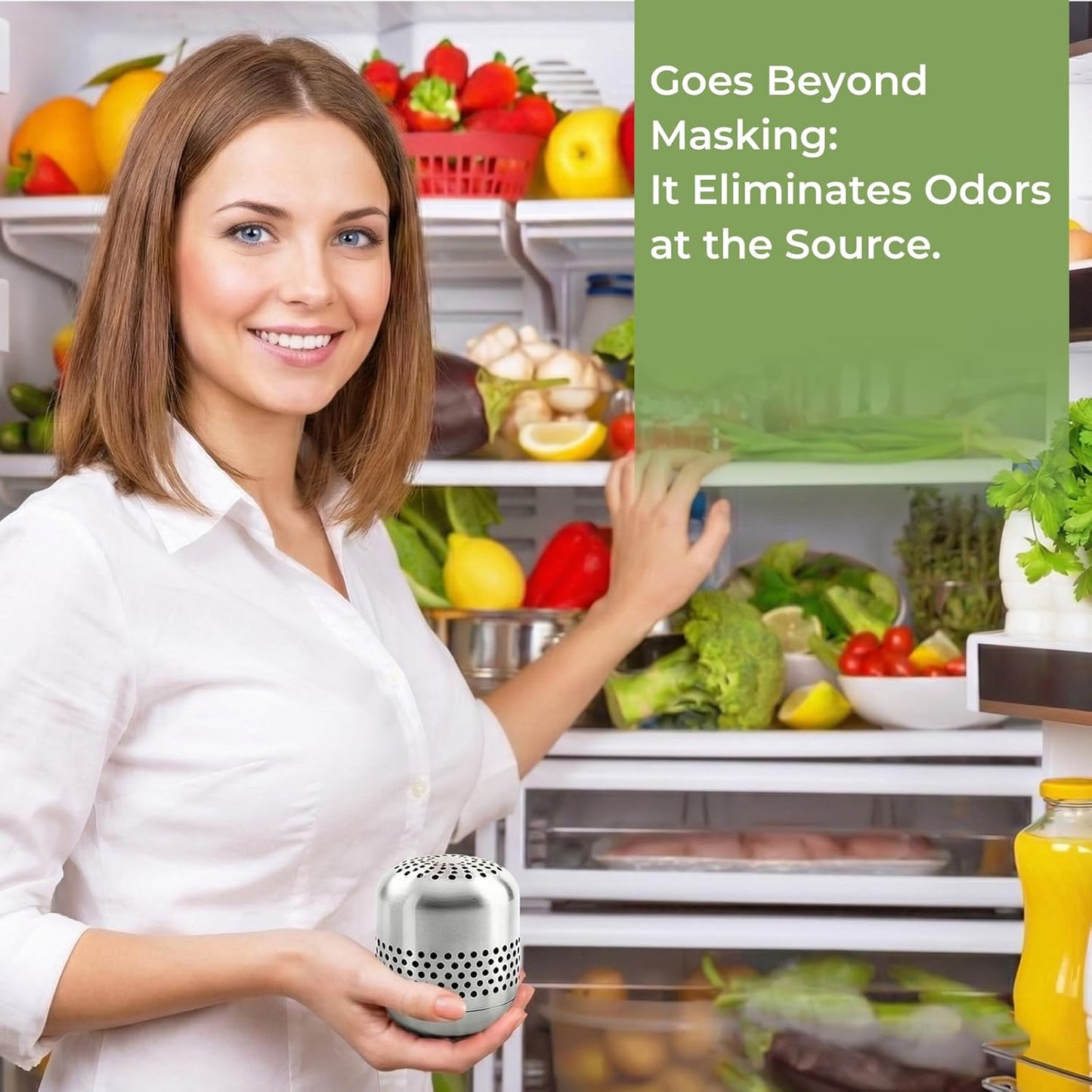 Skiennix Refrigerator Deodorizer - Long-Lasting Odor Eliminator for Fridge & Closet | 10-Year Effectiveness
