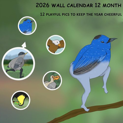 2026 Wall Calendar - Funny Design for 2026-2027 | Perfect Christmas Gag Gift for Adults
