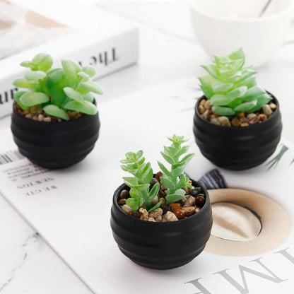Der Rose Set of 6 Artificial Succulent Plants in Pots | Perfect for Halloween & Home Decor