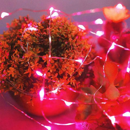 Ariceleo LED Fairy Lights - Battery Operated Copper Wire String Lights | 5m/16ft Red for Bedroom, Weddings & Parties