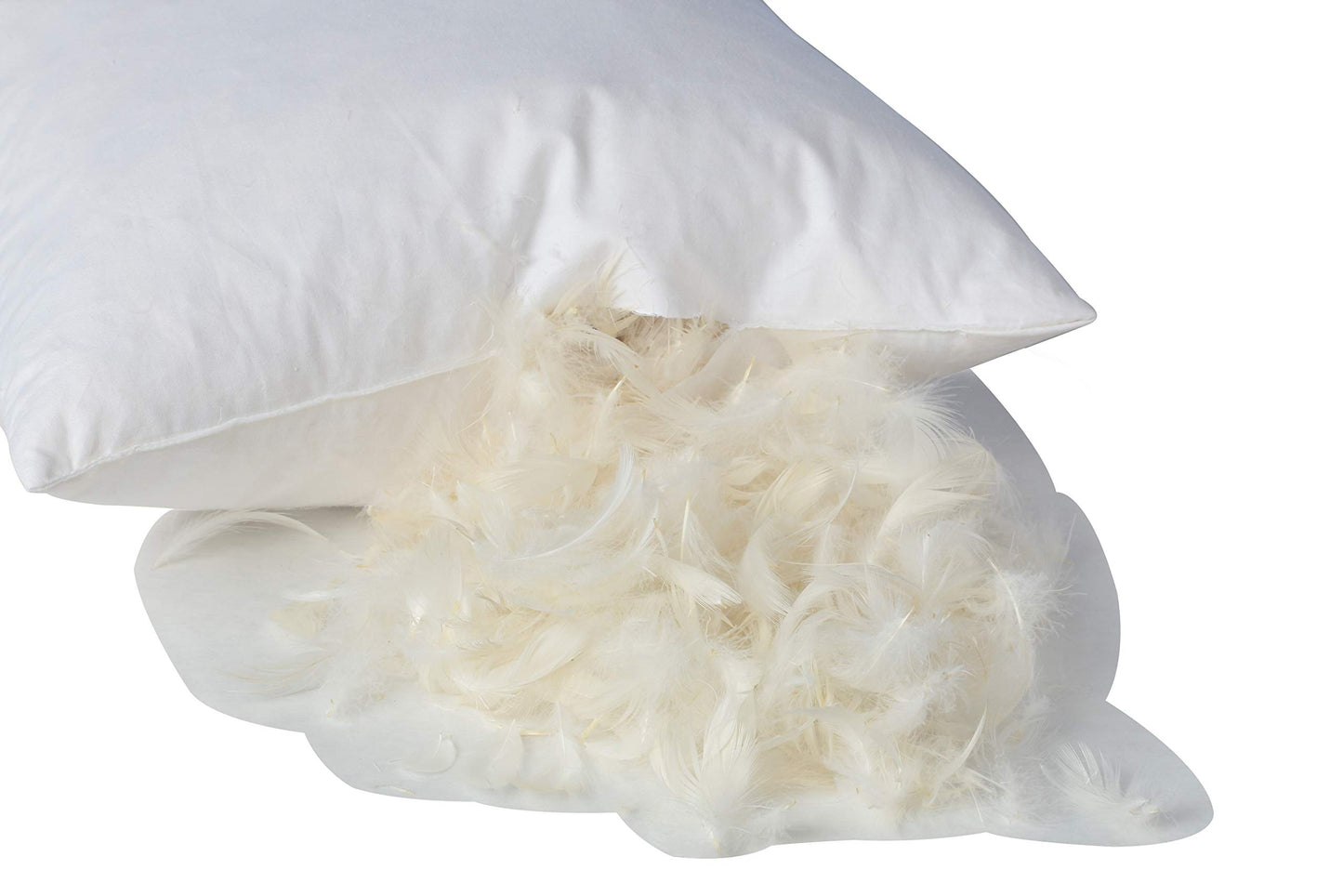 Premium Feather and Down Pillow Insert, Decorative Throw Stuffer Inserts, Hypoallergenic, Cotton Cover, White (28x28)