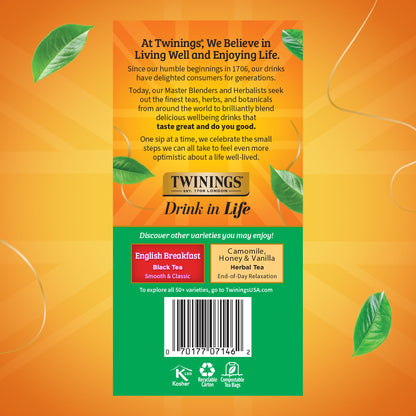 Twinings Irish Breakfast Black Tea Individually Wrapped Bags, 50 Count (Pack of 6), Flavourful, Bold, Robust, Caffeinated, Enjoy Hot or Iced, 300 Teabags