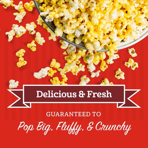 Franklin’s Gourmet Popcorn | All-In-One Popcorn Packs for Machines - 8oz, 10 Count - Buttery Salt & Oil