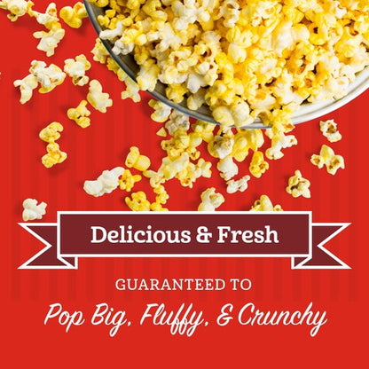 Franklin’s Gourmet Popcorn | All-In-One Popcorn Packs for Machines - 8oz, 10 Count - Buttery Salt & Oil