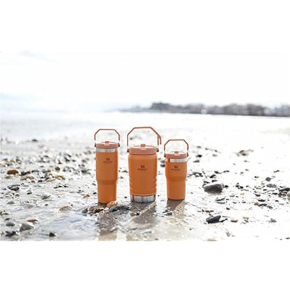 Stanley IceFlow Stainless Steel Tumbler - Vacuum Insulated Water Bottle for Home, Office or Car Reusable Cup with Straw Leak Resistant Flip Cold for 12 Hours or Iced for 2 Days, Ochre, 20 OZ / 0.59 L