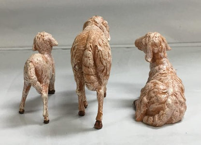 Fontanini by Roman Inc. | 3-Piece Sheep Family Set - Hand Sculpted Nativity Figures, 5" Size