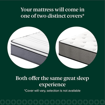 ZINUS 10 Inch True Support Hybrid Mattress - Queen Size, Medium Feel, Fiberglass Free, Motion Isolation, Safe Foams