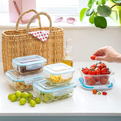 Moss & Stone 10-Piece Borosilicate Glass Meal Prep Containers - 100% Leak-Proof, Airtight & BPA-Free - Freezer, Microwave & Oven Safe