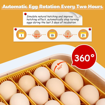 Sailnovo 56 Egg Incubator - Automatic Egg Turning & Humidification | Temperature Control for Chicken, Duck, Quail Eggs