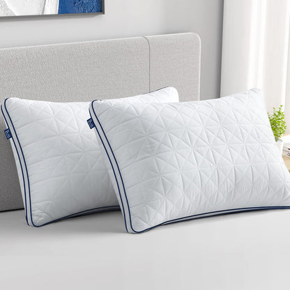 BedStory Pillows Queen Size Set of 2-Bed Pillows for Sleeping-Cooling Pillows with Mesh Design-Premium Soft Down Alternative Fill Supportive for Back, Stomach or Side Sleepers