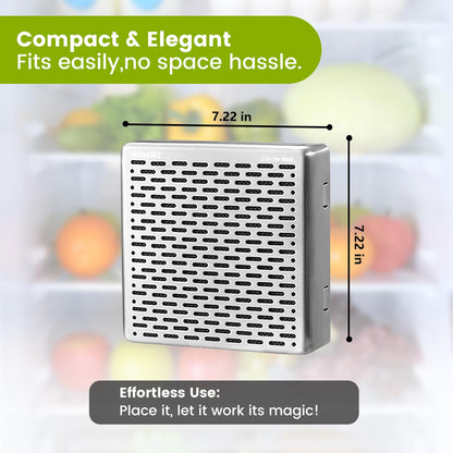 Refrigerator Deodorizer,10 Years Long Fridge Odor Eliminator,Car Air Freshener,Closet Odor Absorber,Outperforms Baking Soda and Bamboo Air Purifying Bags，Stainless Steel