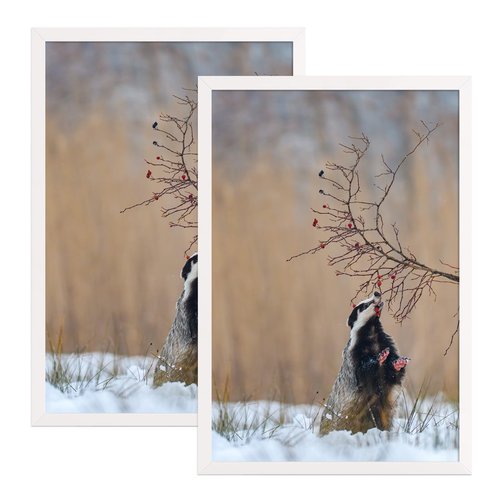 ARTWIND 20x30 Poster Frame 2 Pack, White Solid Wood Photo Picture Frame for Horizontal or Vertical Wall Mounting, Hanging Hardware Included