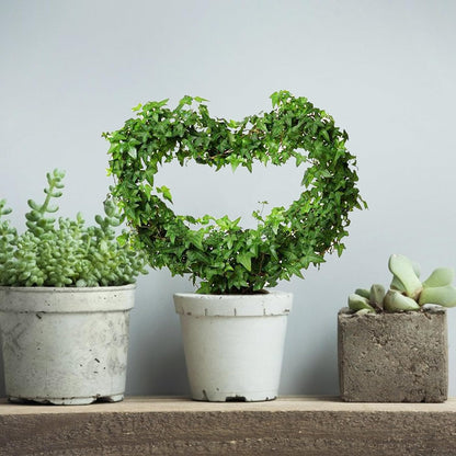 Skiennix Heart Shaped Trellis - Decorative Metal Plant Support for Indoor Climbing Plants | Rust-Proof, Black, 2 Pack