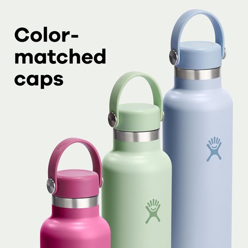 Hydro Flask Water Bottle - Insulated Stainless Steel - Leakproof & Non-Spill | 21 Oz Tonal Trillium