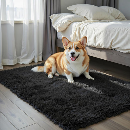 Skiennix Small Area Rug - Modern Black Shag Carpet for Bedroom | Fluffy 2x3 Feet Dorm Mat