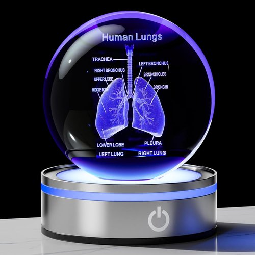 Enjinkail 3D Human Lung Model - Laser Etched Glass Anatomical Figurine | Doctor Gifts with LED Base