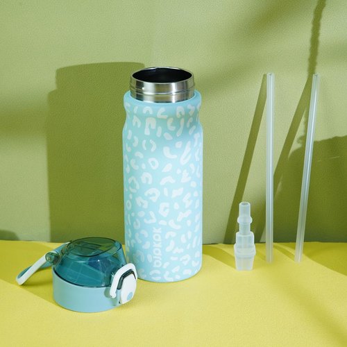 BJPKPK Insulated Water Bottle - 18oz Stainless Steel Thermal Flask with Straw & Carry Handle | Sky Blue Leopard