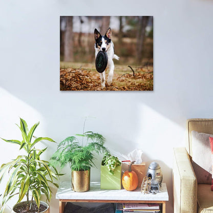 Personalized Canvas Print by [Brand Name] - Custom Photo Wall Art for Bedroom & Living Room | 10" W x 8" H