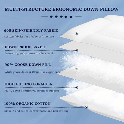 Skiennix Goose Down Pillow - Ergonomic Cervical Neck Pain Relief | Soft Cotton Cover, 16.5x26 Inch