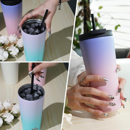 Skiennix 22 Oz Insulated Tumbler - Vacuum-Sealed Stainless Steel Travel Mug with Lid & Straws | Gray