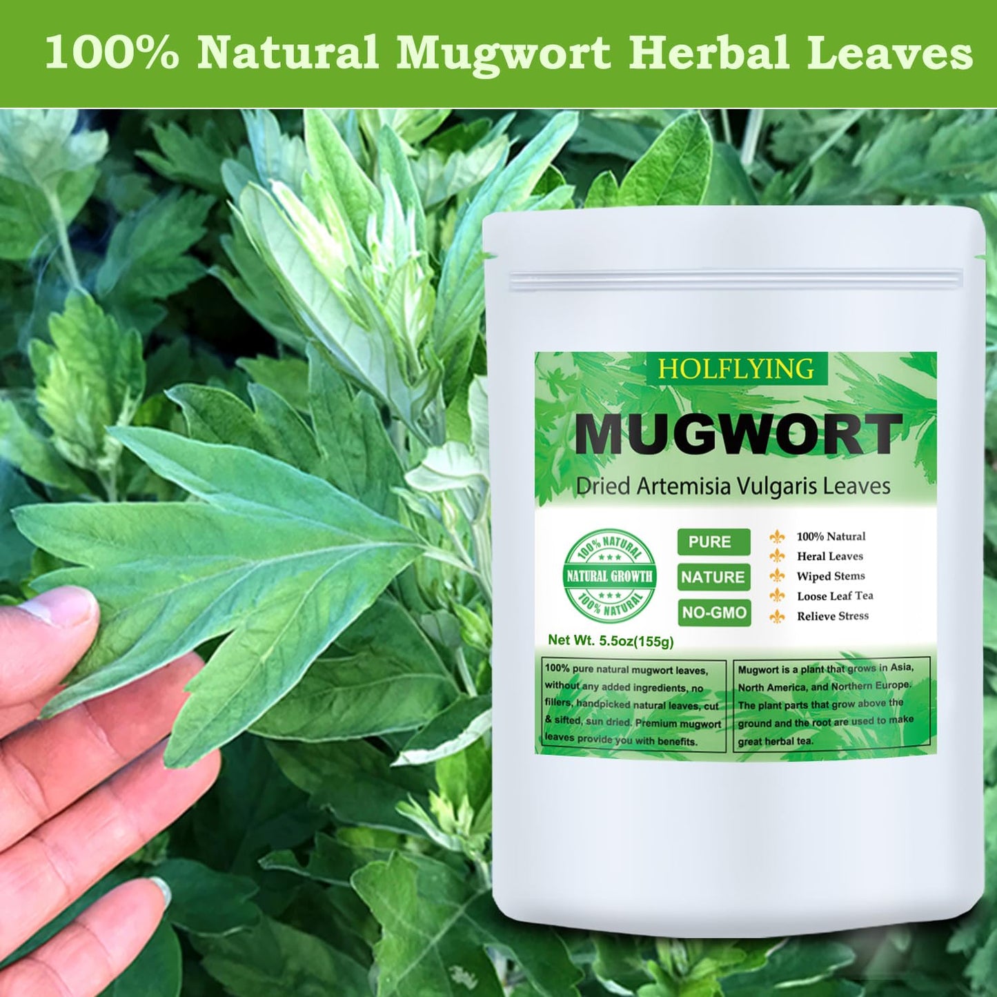 Dried Mugwort Leaves, 5.5oz(155.0g), Mugwort Leaf, Natural Artemisia Vulgaris Herbal Loose Leaves