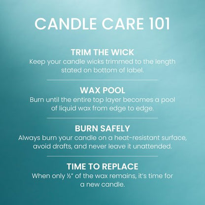 Yankee Candle Catching Rays Scented Candle, 22oz Large Jar with up to 150 Hour Burn Time, Giftable