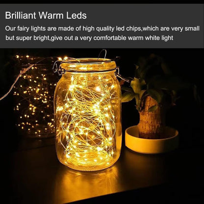 Skiennix 24 Pack Mini Fairy Lights - Battery Operated 20 LED Warm White String Lights, 6.6ft for Weddings & Crafts