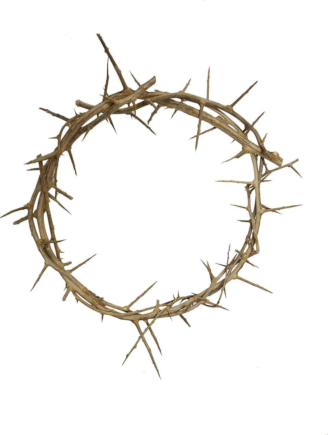 Passion of Christ Crown of Thorns - Authentic Religious Symbol | Perfect for Home Decor