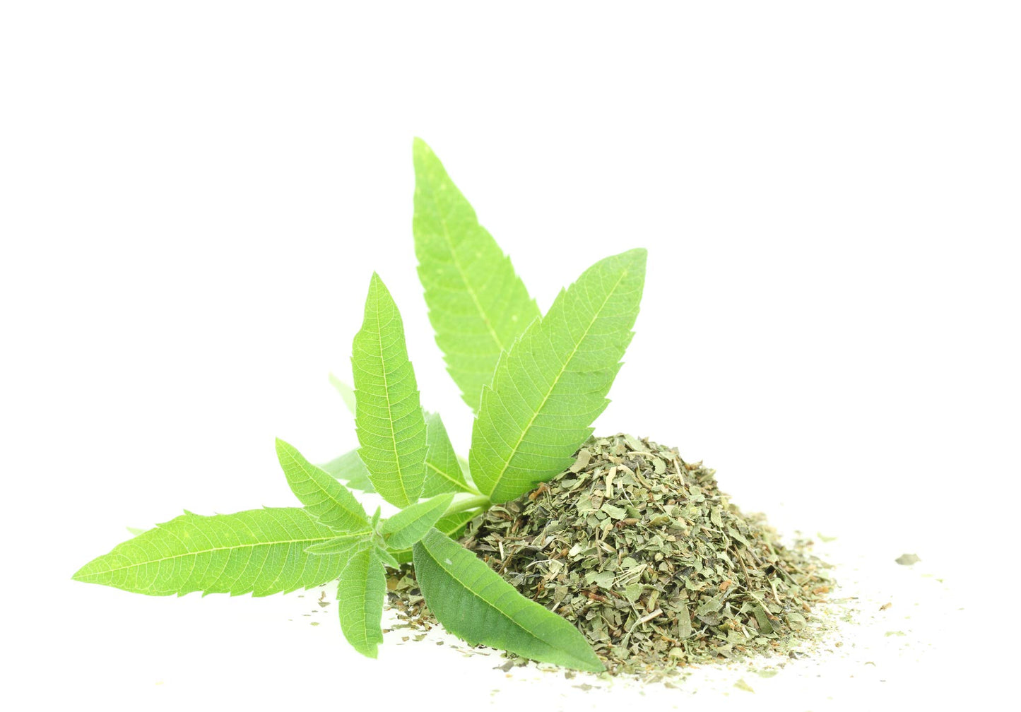 Lemon Verbena 5 oz (Aloysia Citrodora) Dried Cut Leaves 5 oz, 100% Pure and Natural, Lemon Verbena Tea, Product From Egypt, Packaged in the USA (5 oz)