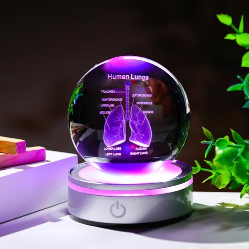 Enjinkail 3D Human Lung Model - Laser Etched Glass Anatomical Figurine | Doctor Gifts with LED Base