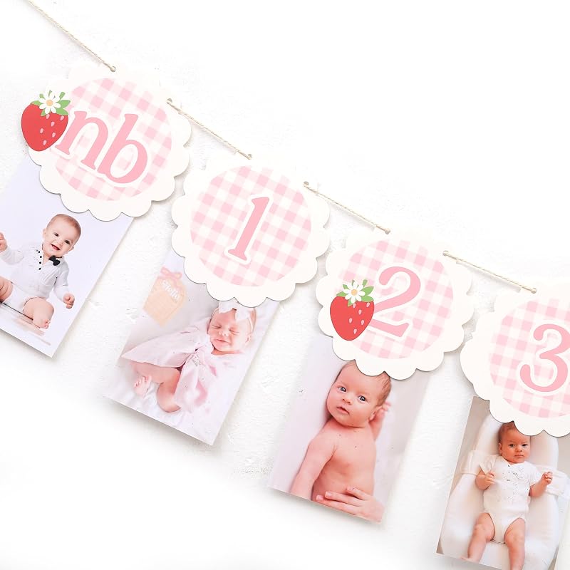 Strawberry Gingham 13-Card Milestone Photo Banner - 0-12 Months, Strawberry-3