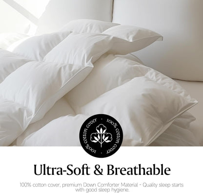 Royal Luxe Goose Feather Down Comforter - Ultra Soft Queen Size Duvet Insert | 100% Cotton, All Season Bedding 88”x88”