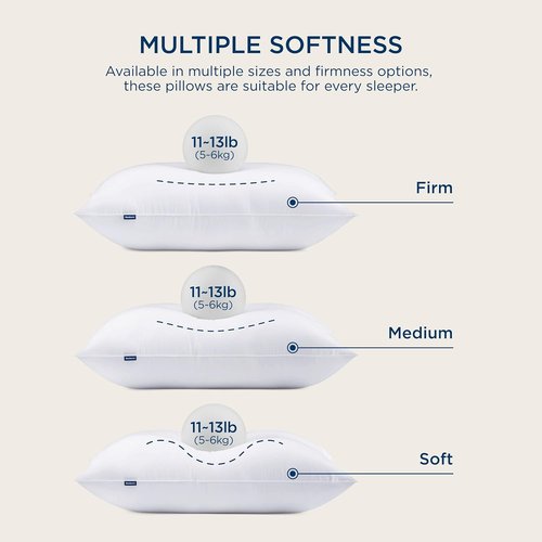 Bedsure Comforter Set - 3 Pack with 2 Soft Pillows | Cozy Bedding for Ultimate Comfort