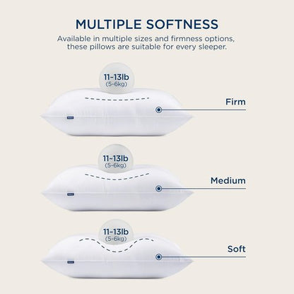 Bedsure Comforter Set - 3 Pack with 2 Soft Pillows | Cozy Bedding for Ultimate Comfort