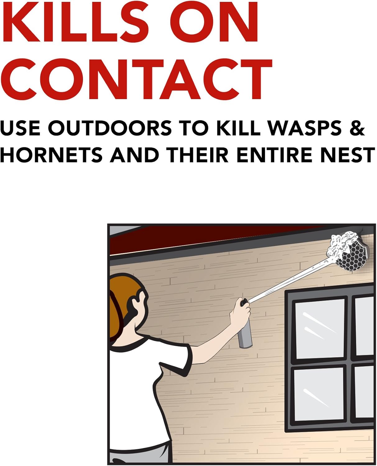 Raid Wasp & Hornet Killer Spray - Effectively Eliminates Nests & Stinging Insects | 13 oz