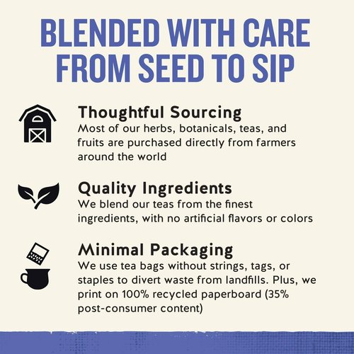 Celestial Seasonings Herb Tea True Blueberry 20 Bag (Pack of 2)